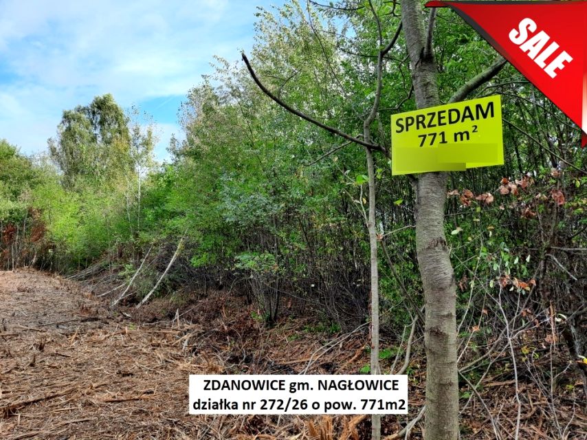 Działka inna Zdanowice