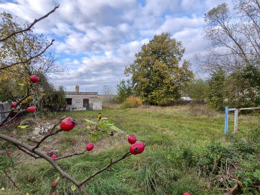 Działka budowlana Tarnowo Podgórne sprzedam