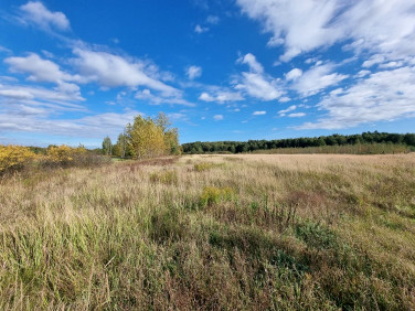 Działka Zalesie Krasieńskie