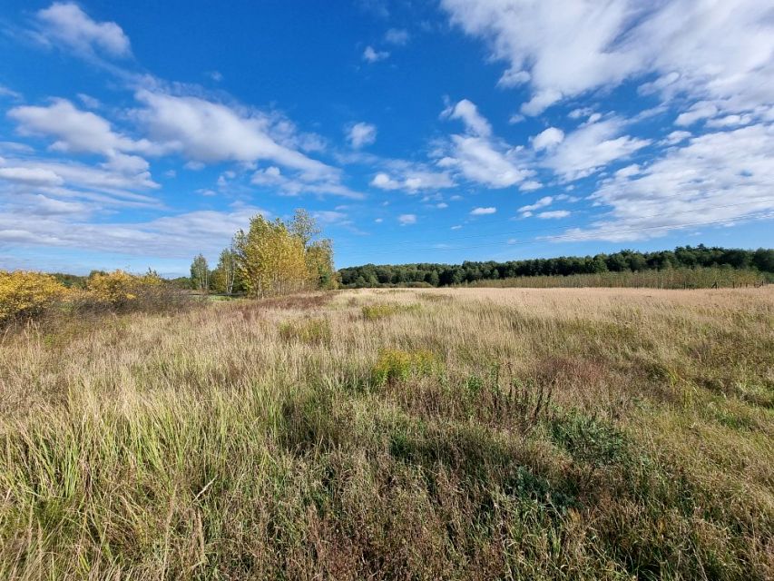 Działka Zalesie Krasieńskie
