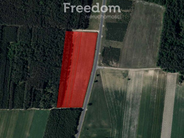 Działka rolna Siedliska