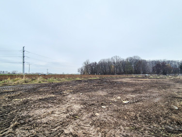 Działka budowlana Domasław