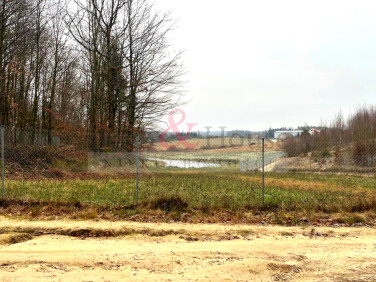 Działka siedliskowa Sierakowice