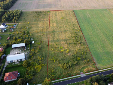 Działka budowlana Głobino