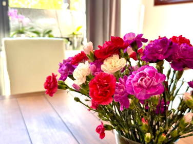 Mieszkanie Bielsko-Biała sprzedaż