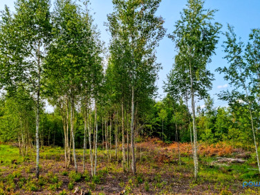 Działka budowlana Niemianowice
