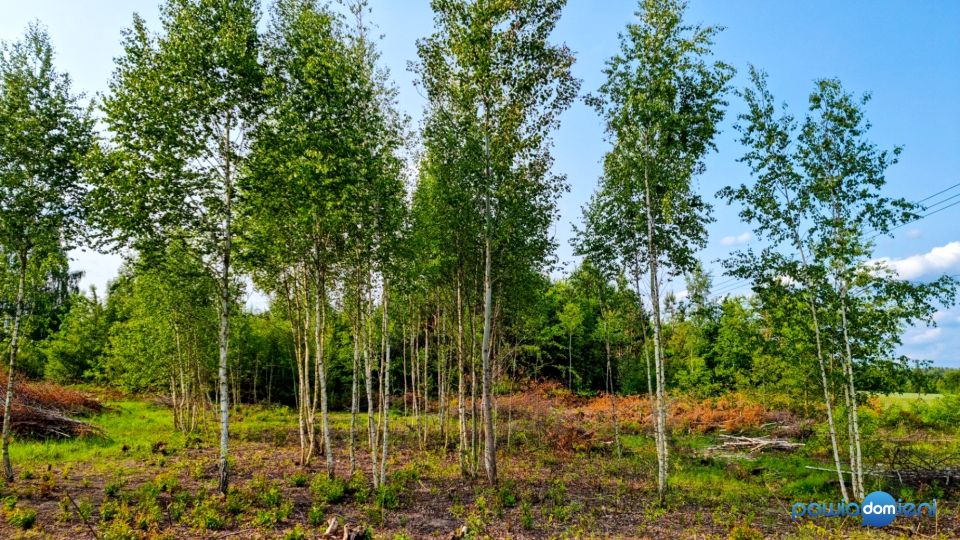 Działka budowlana Niemianowice