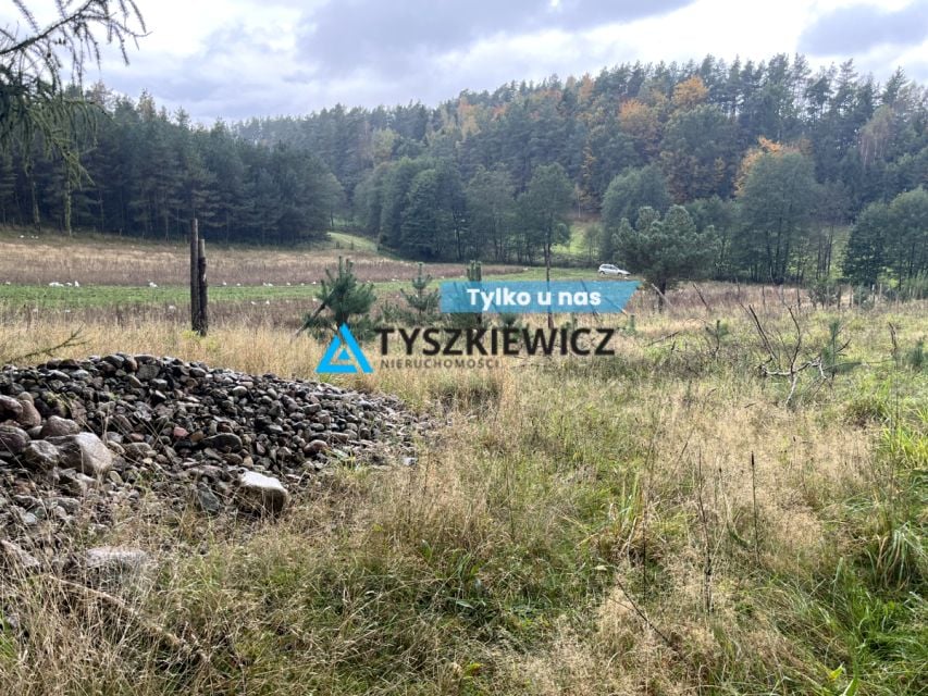 Działka siedliskowa Borucino