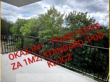 Mieszkanie Jelenia Góra sprzedaż