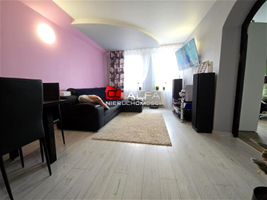 Mieszkanie Strzegom