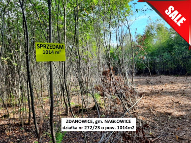Działka rekreacyjna Zdanowice sprzedam