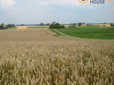 Działka inwestycyjna Waplewo sprzedam