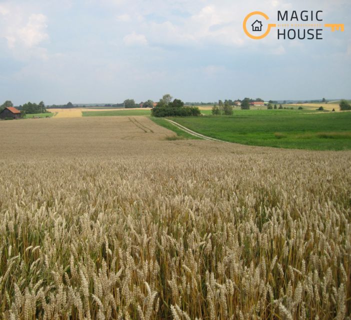 Działka inwestycyjna Waplewo sprzedam