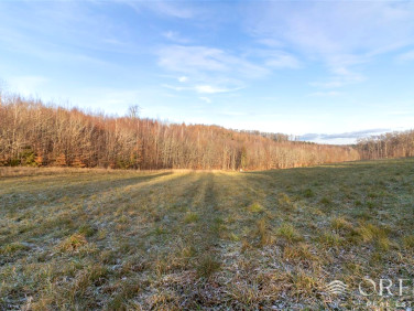 Działka Łapino Kartuskie