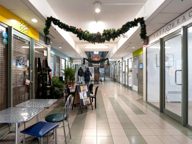 Budynek użytkowy Warszawa