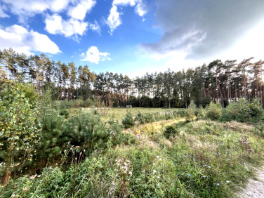 Działka rolna Biała Wieś