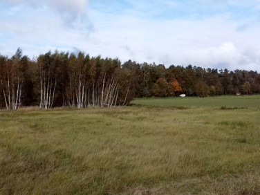 Działka budowlana Chrząstowo