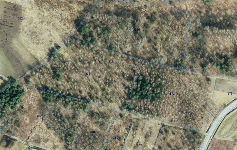 Działka leśna Nowa Jastrząbka sprzedam