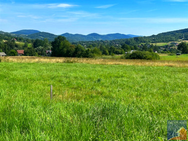 Działka budowlana Jurków