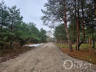 Działka budowlana Czarny Las