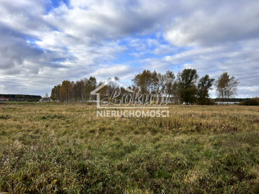 Działka Niedźwiedź