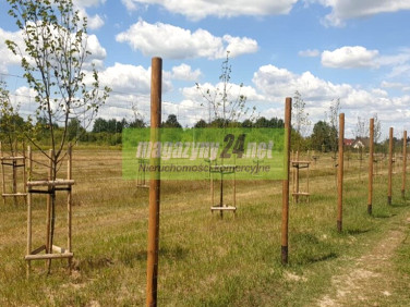 Działka przemysłowa Góra Kalwaria