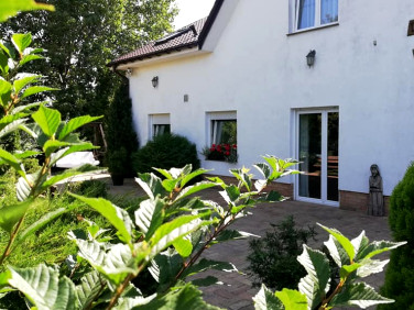 Budynek użytkowy Gorzów Wielkopolski