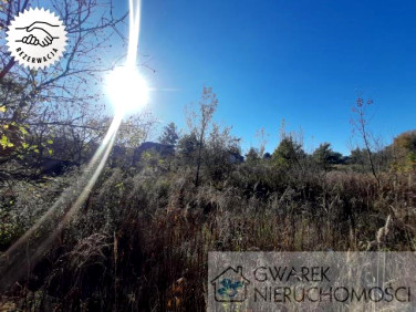 Działka Dąbrowa Górnicza