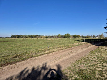 Działka rekreacyjna Lubczyna