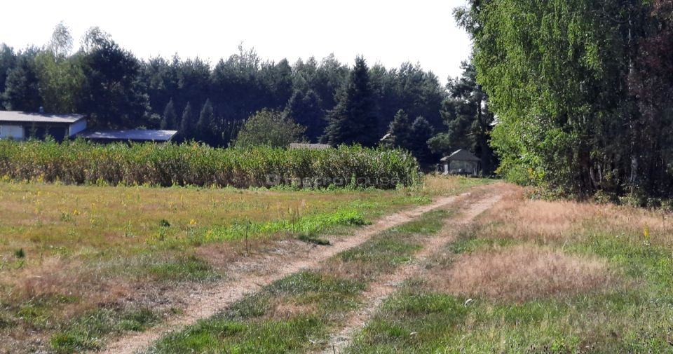 Zdjęcie 3