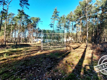 Działka budowlana Zielona Góra