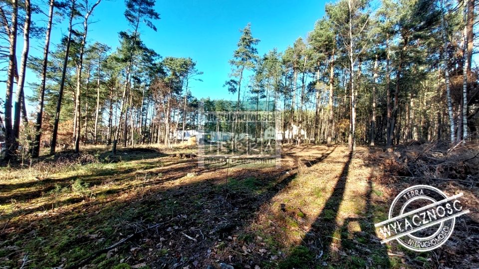 Działka budowlana Zielona Góra