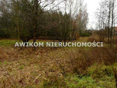 Działka rolna Skierniewice