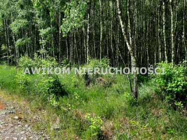 Działka Wycześniak