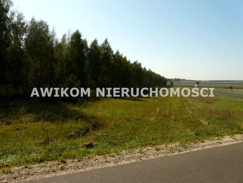 Działka rekreacyjna Przewodowice