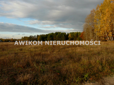 Działka Puszcza Mariańska