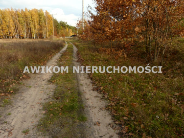 Działka Puszcza Mariańska