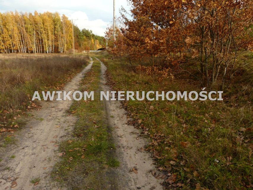 Działka Puszcza Mariańska