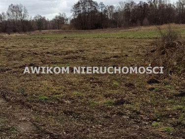 Działka budowlana Budy Zosine