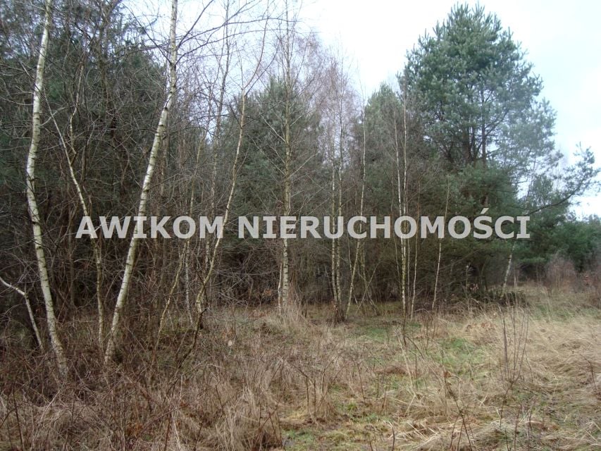 Zdjęcie 3