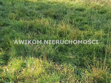 Działka budowlana Budy-Grzybek