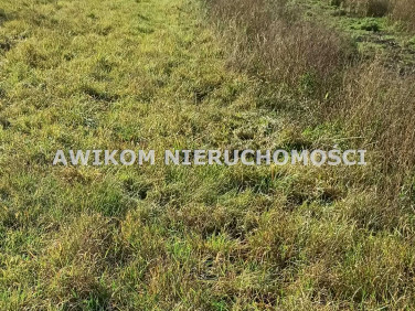 Działka budowlana Budy-Grzybek