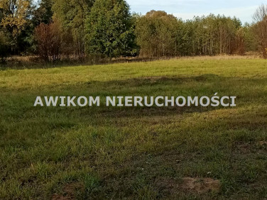 Działka budowlana Budy-Grzybek