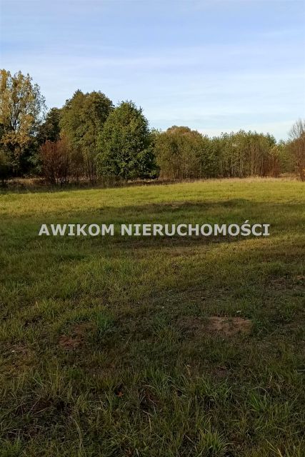 Działka budowlana Budy-Grzybek