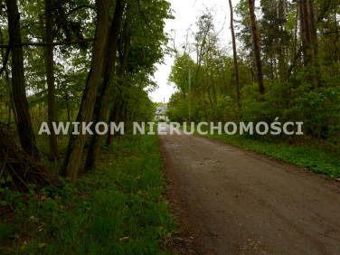 Działka siedliskowa Joachimów-Mogiły