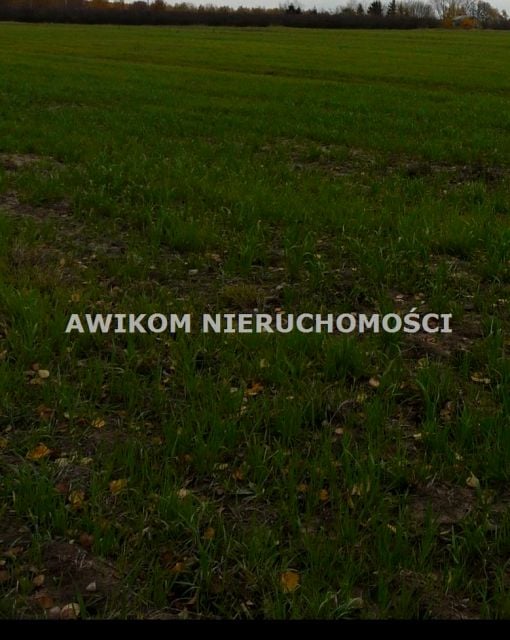 Zdjęcie 2