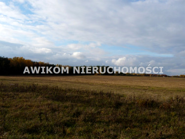 Działka inwestycyjna Wycześniak