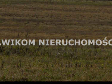 Działka siedliskowa Stary Łajszczew