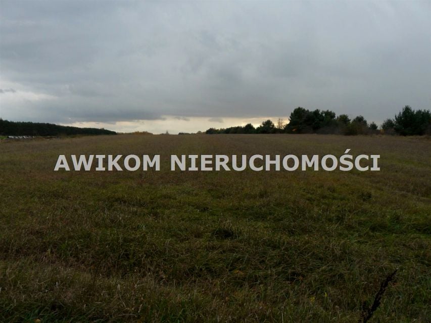 Zdjęcie 3