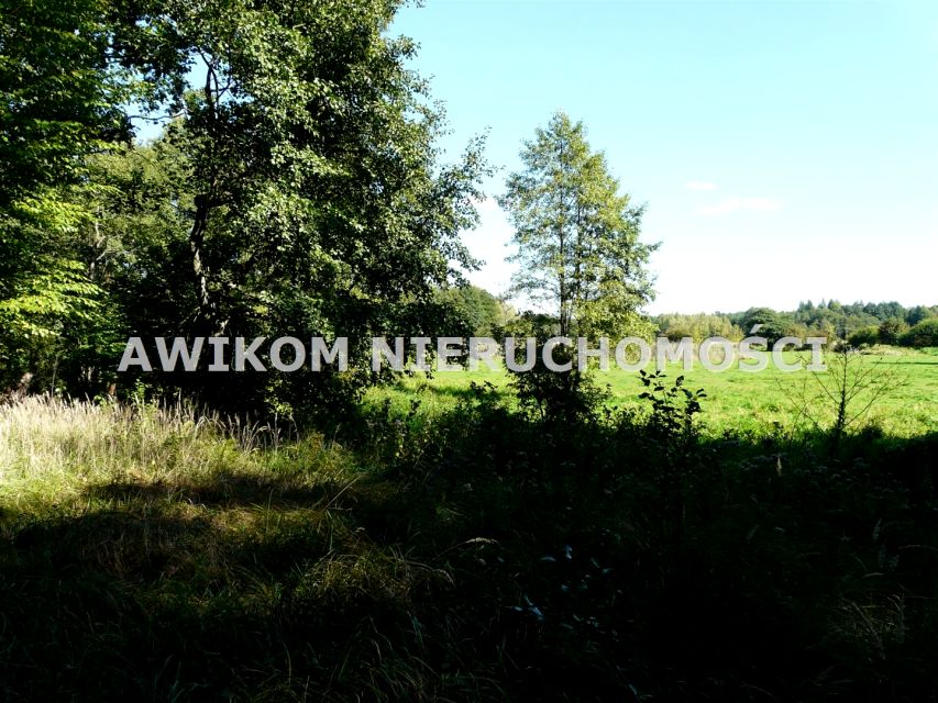 Pusta działka Ziemiary